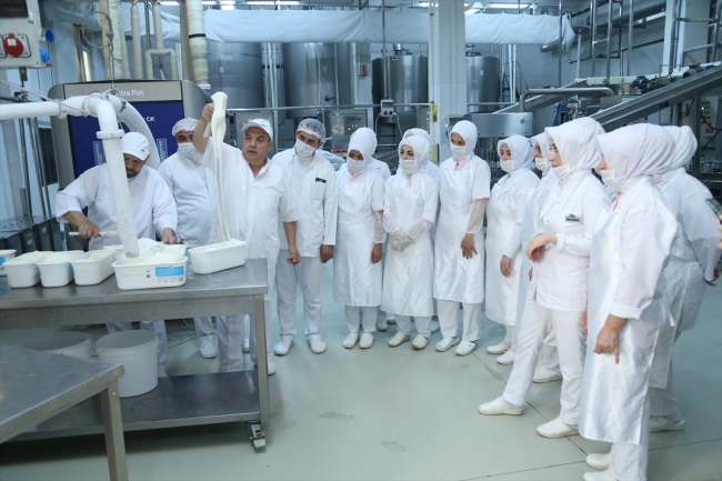 Dondurmanın bayrağını yükseklere çıkarmak için çabalıyor